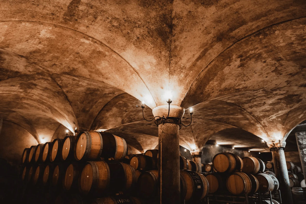Rows of stacked oak wine barrels at Avondale Wine Estate in Paarl, South Africa.