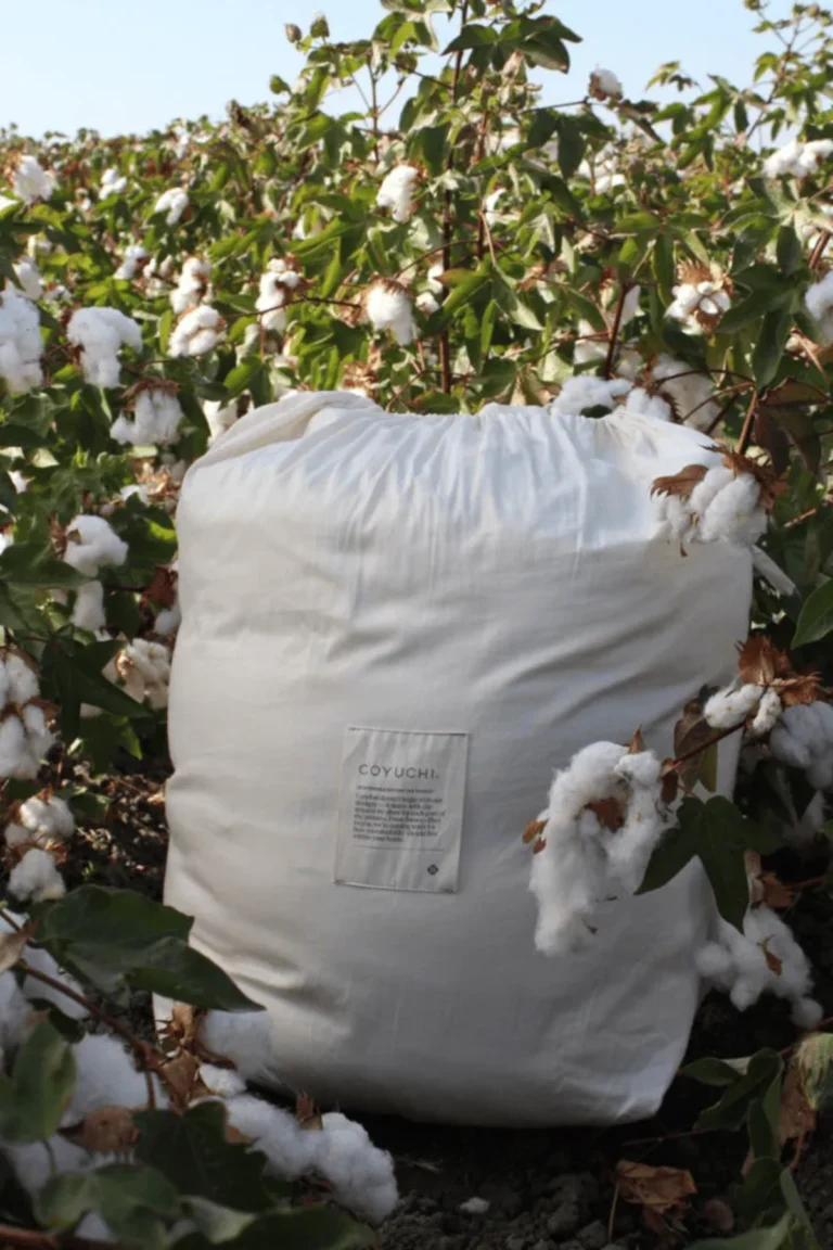 Best Organic Cotton Sheets for Certified Comfort