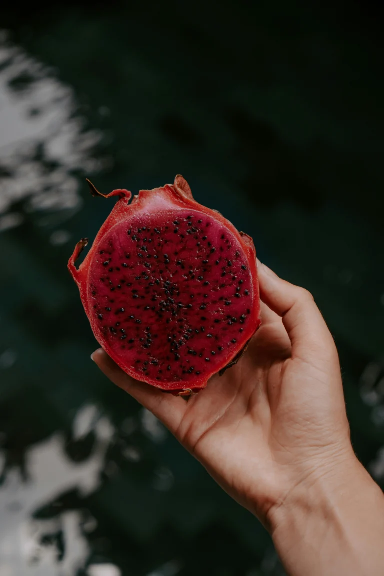 Culinary Traditions: How Regional Food Cultures Nourish Worldwide