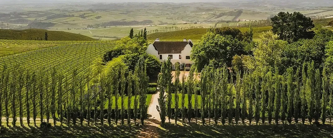 Aerial view of Iona Wine Estate in the Elgin Valley.