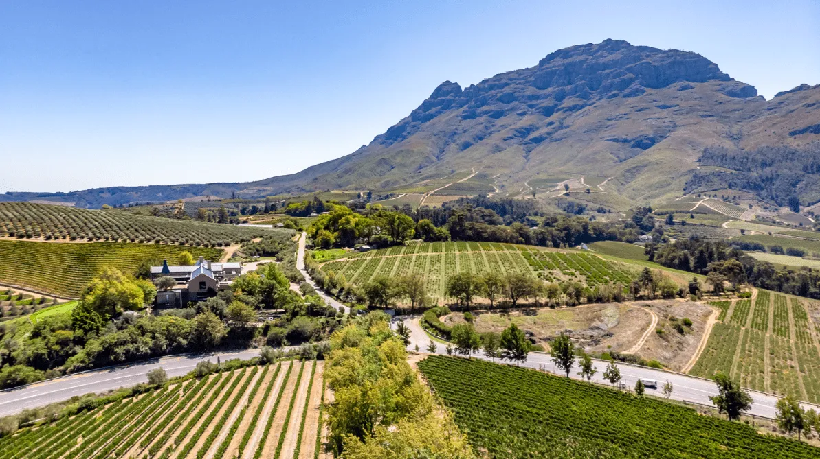 Aerial view of Stellenbosch vineyards in the Cape Winelands of South Africa.