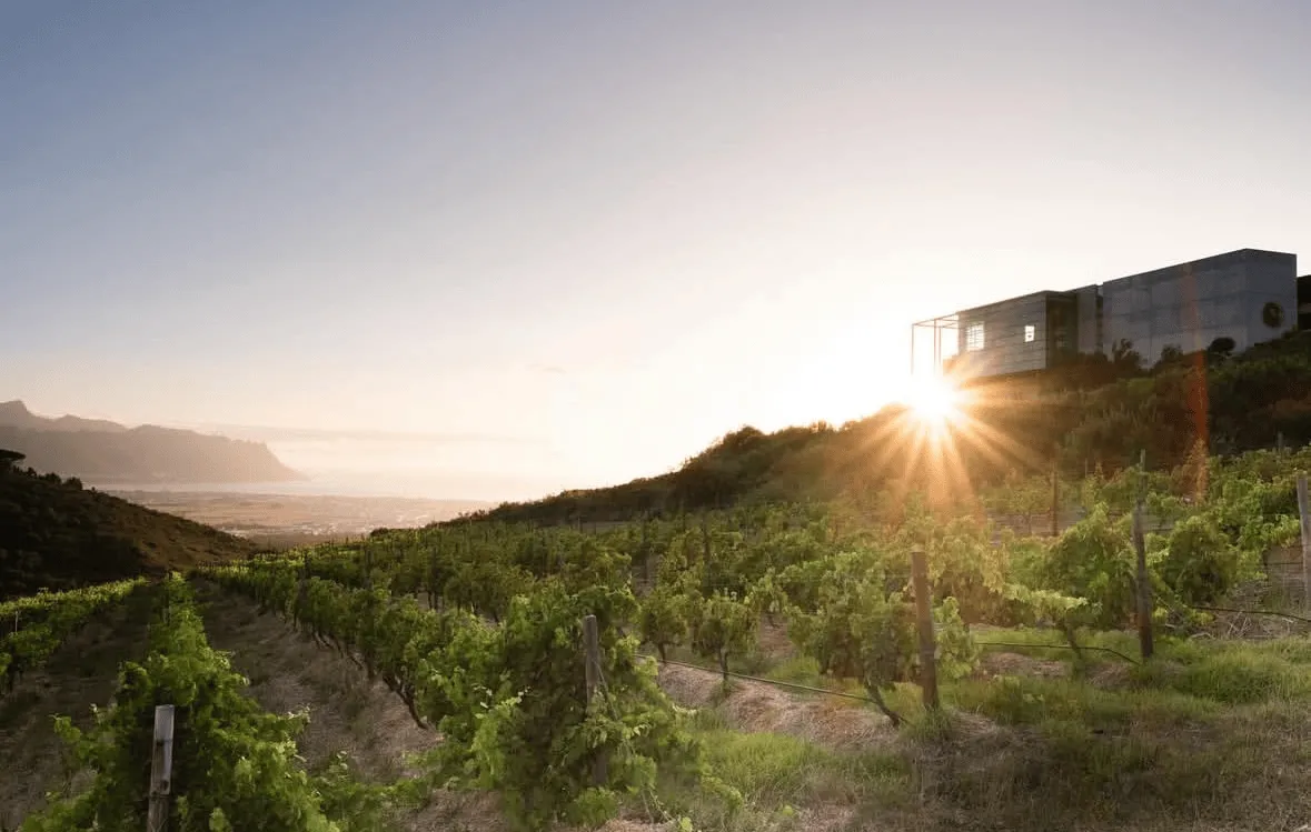 Sunset over the vineyards at Waterkloof Wine Estate, overlooking False Bay and the Helderberg mountains.
