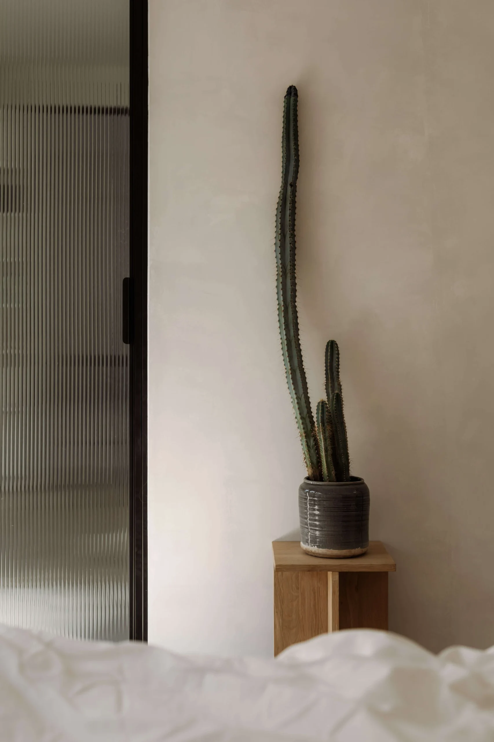 A tall cactus in a glazed stoneware pot on an oak plinth, beside a reeded glass door and linen bedding.