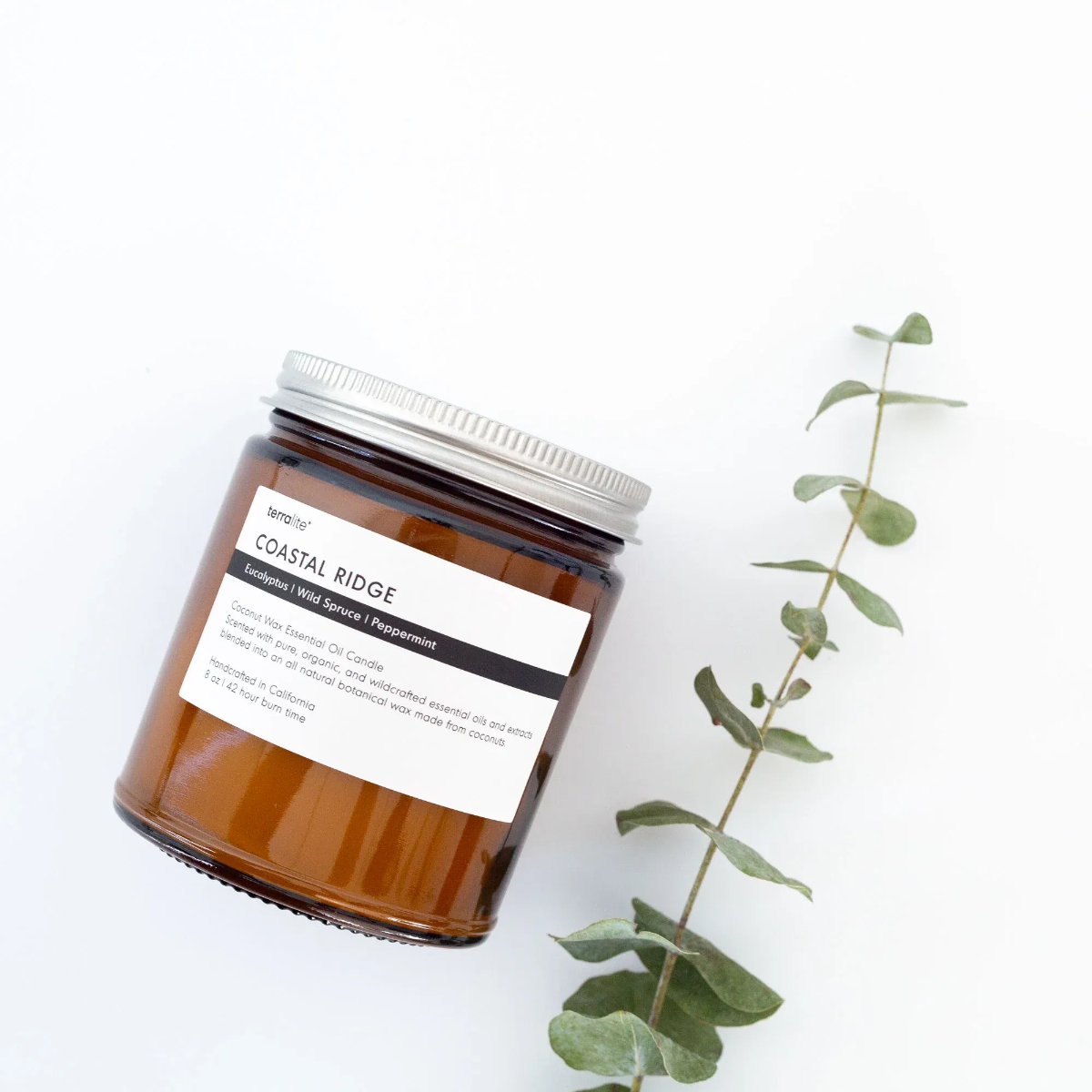 Coastal Ridge eucalyptus-peppermint essential-oil candle in 8 oz amber jar with silver lid beside fresh eucalyptus stem.