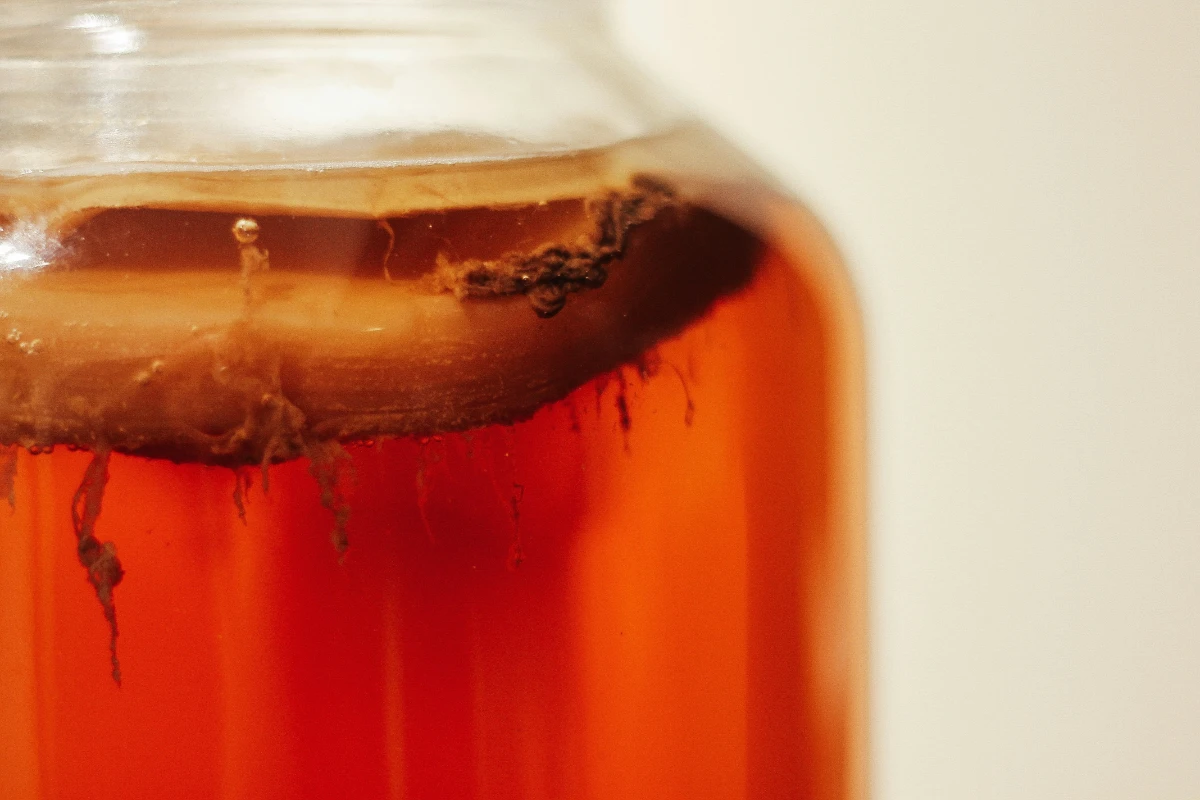 Close-up of kombucha SCOBY floating in amber liquid inside a glass jar, showing active tea fermentation process.