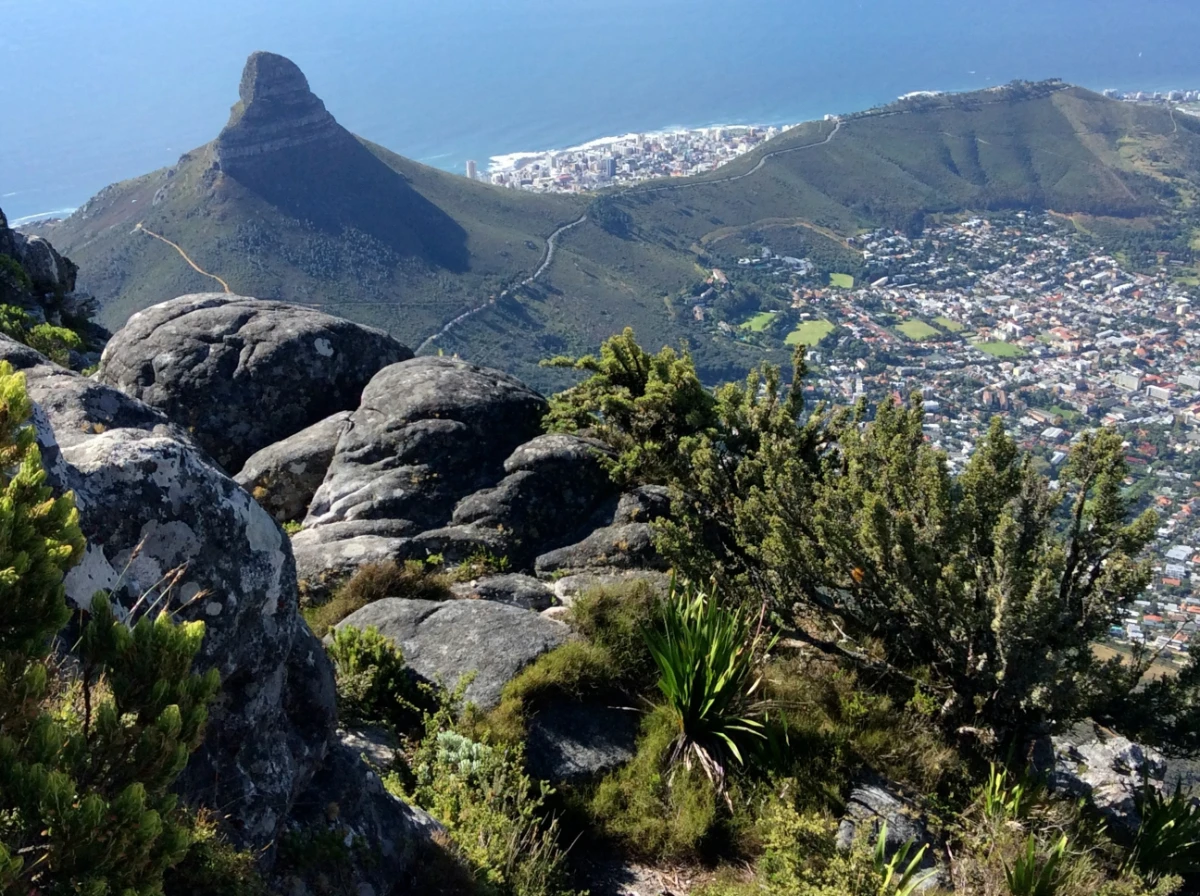 Elevated view of Lion’s Head and Cape Town coastline from Table Mountain with ocean in the distance.