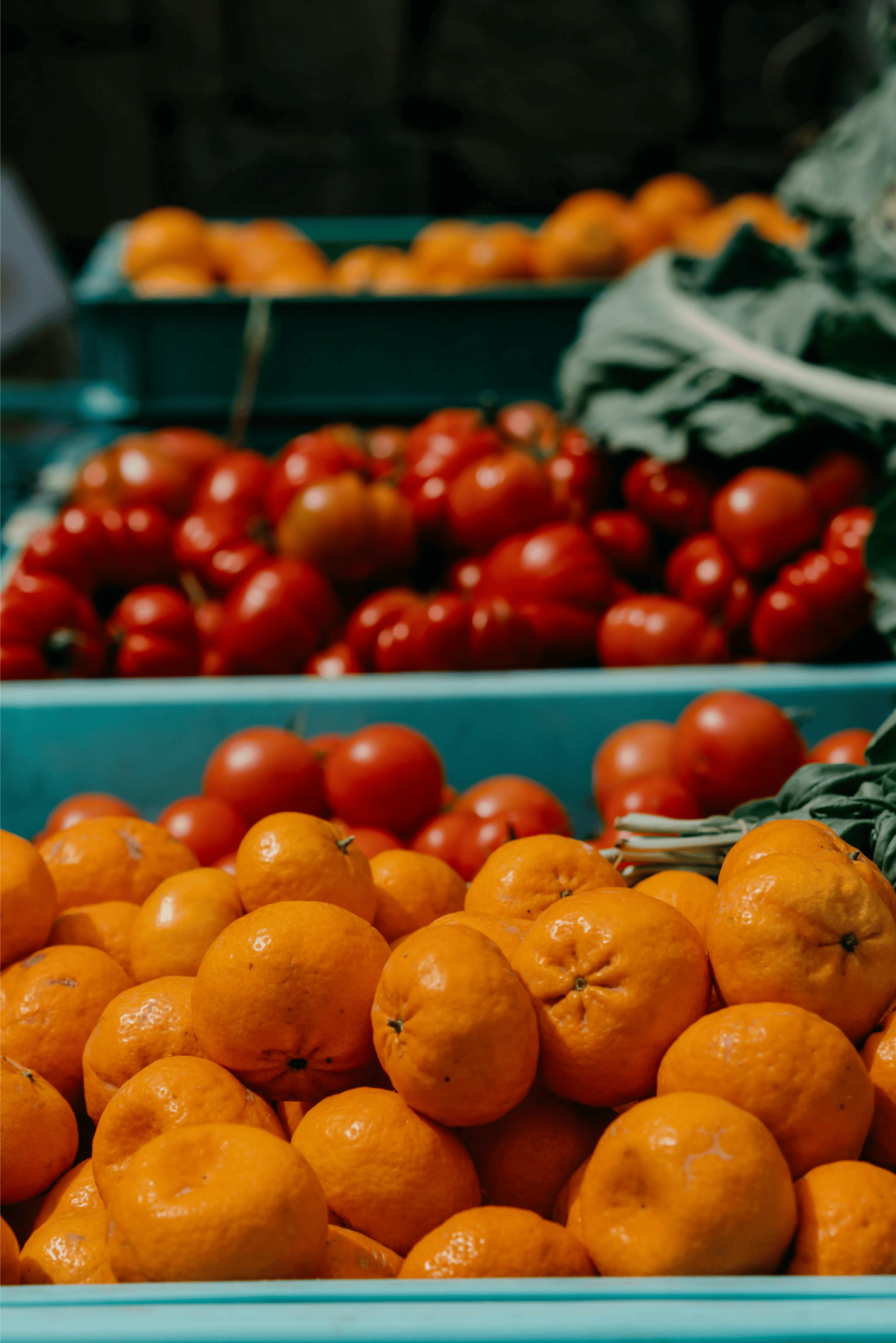 Stacked turquoise crates filled with oranges and red tomatoes.