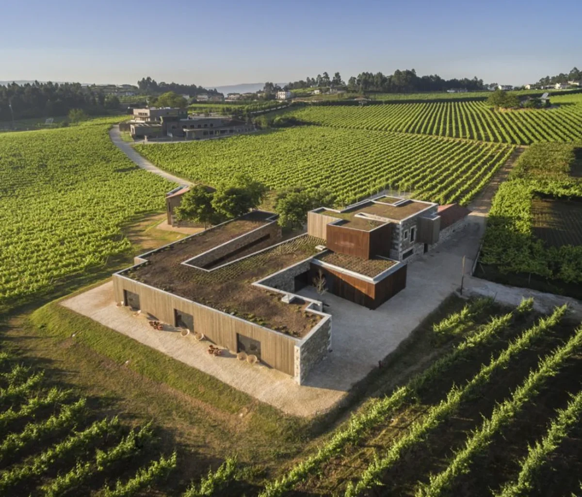 Monverde Wine Experience Hotel surrounded by vineyards with modern architecture in rural Portugal