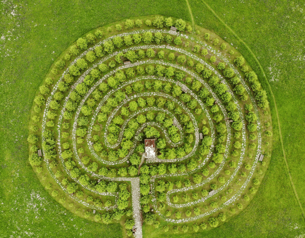 Aerial shot of concentric spiral tree labyrinth.