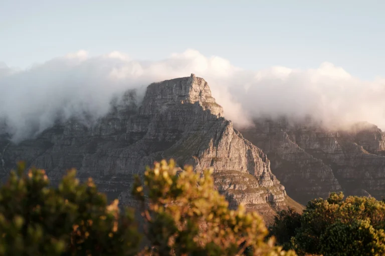 A tablecloth of cloud spills over Table Mountain in golden light, framed by soft-focus fynbos.
