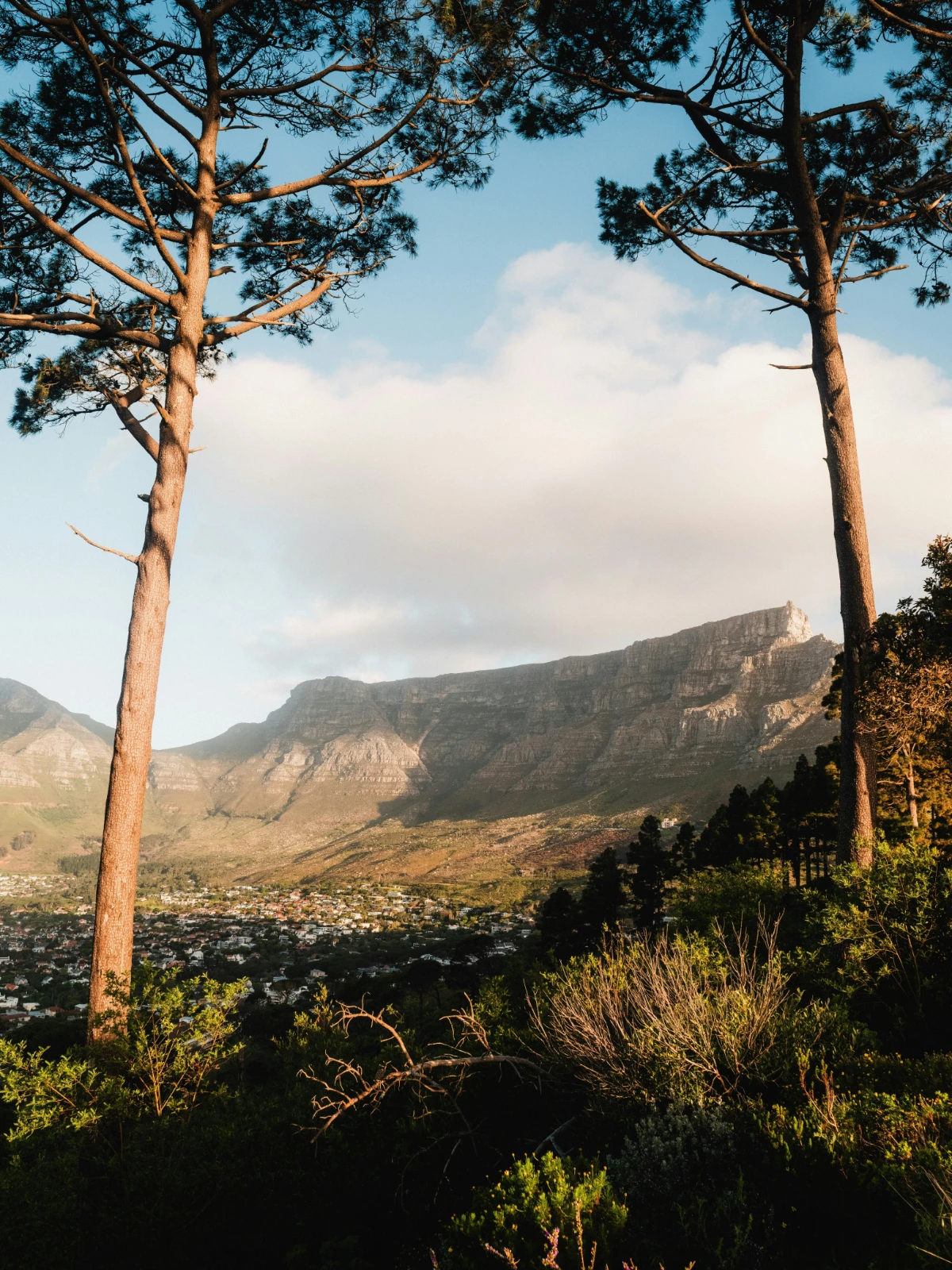 Cable car glides up Table Mountain above a cloud inversion with Lion’s Head poking through the morning mist.