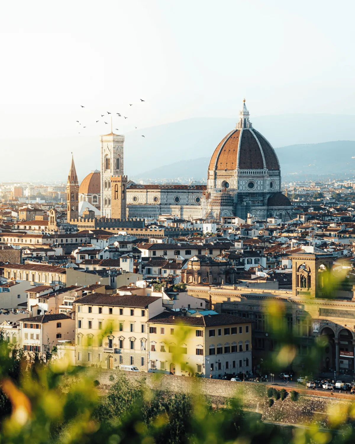 Panoramic view of Florence with the red-tiled Duomo and Giotto’s bell tower rising above the historic cityscape.