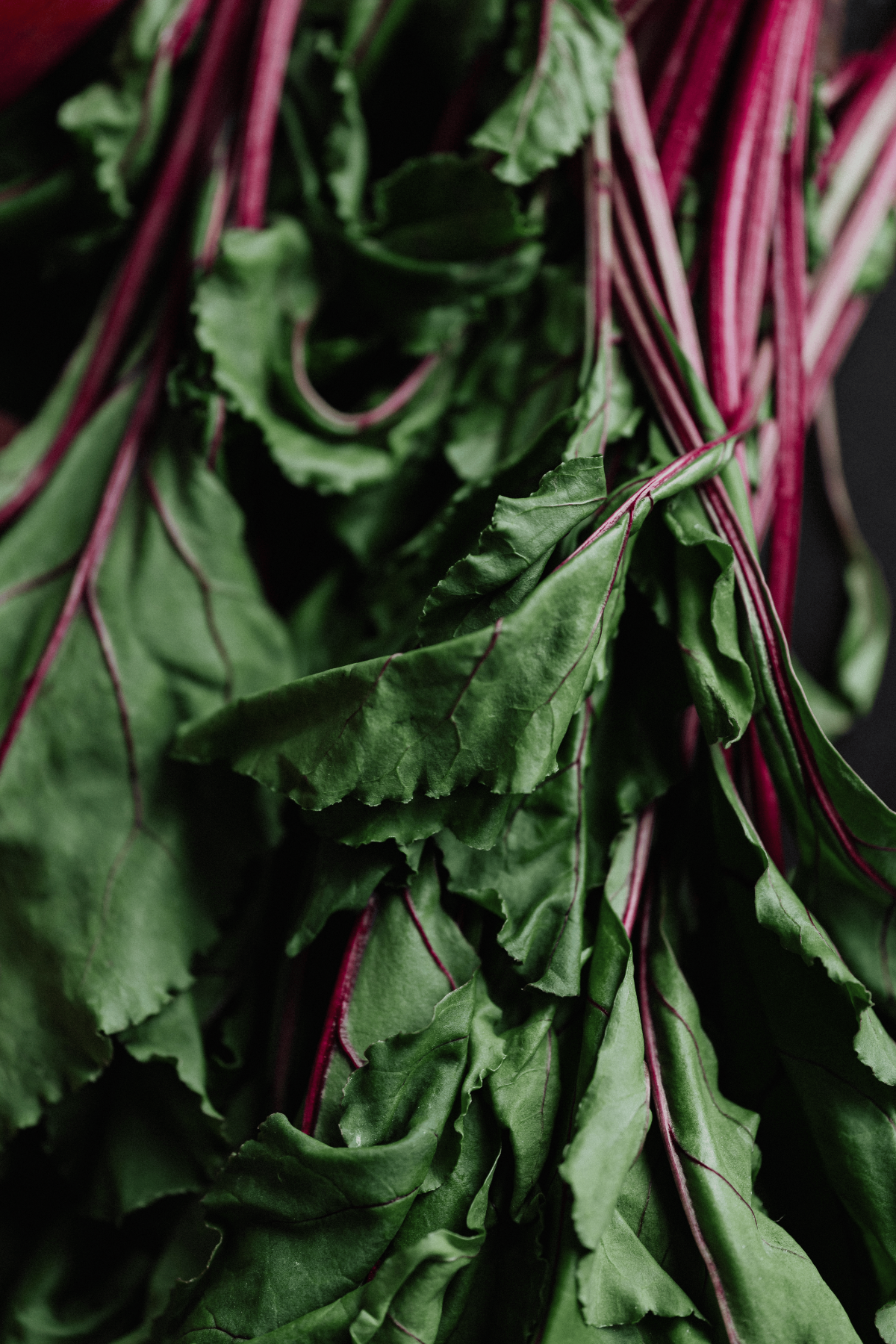 Close-up of beet greens.