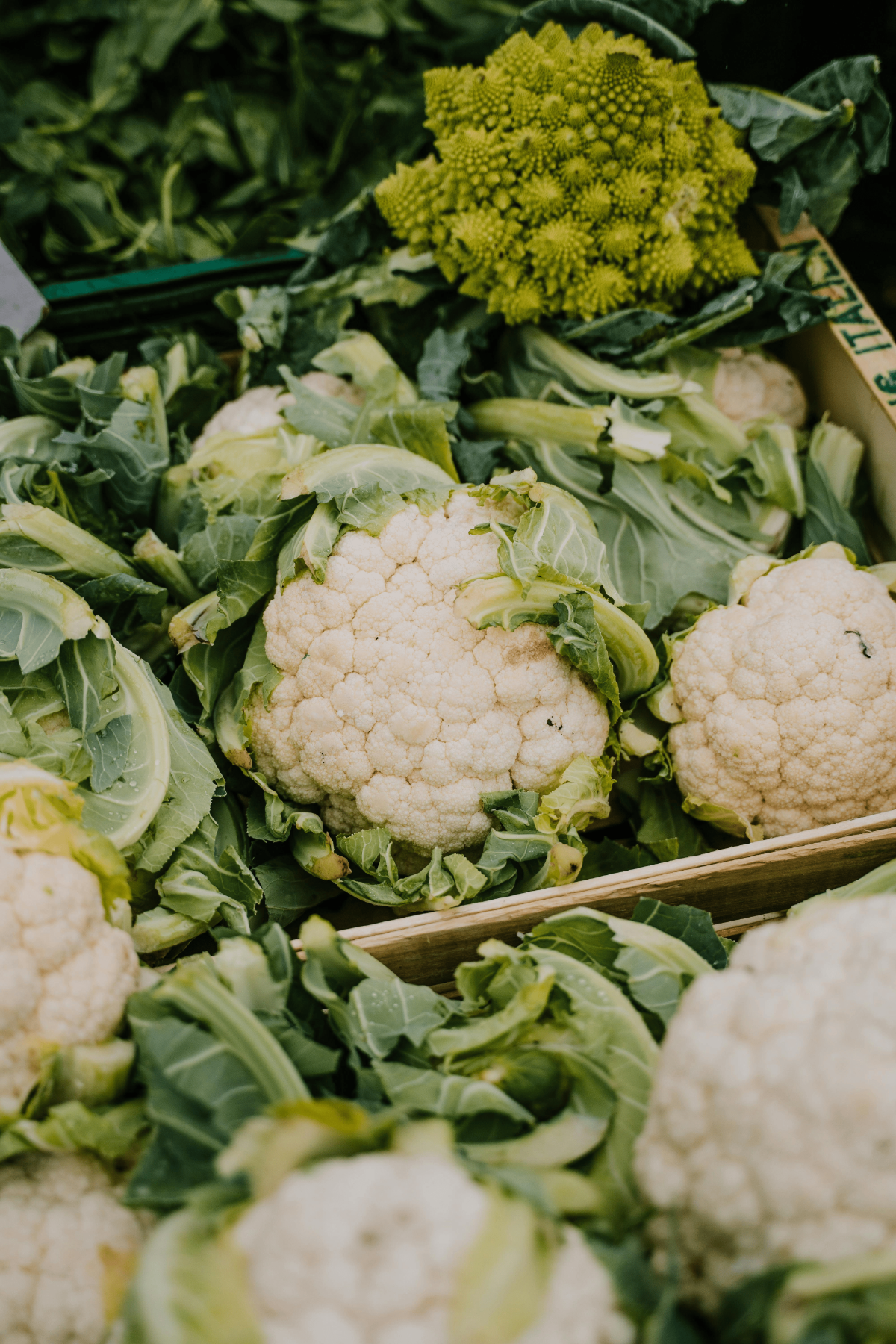 Close-up of white cauliflower heads.