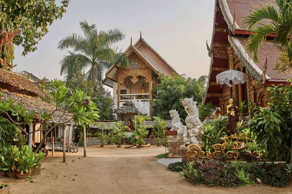 Ornate Thai temple complex with gold-trimmed roofs, guardian lion statues and lush tropical greenery in a sandy courtyard.
