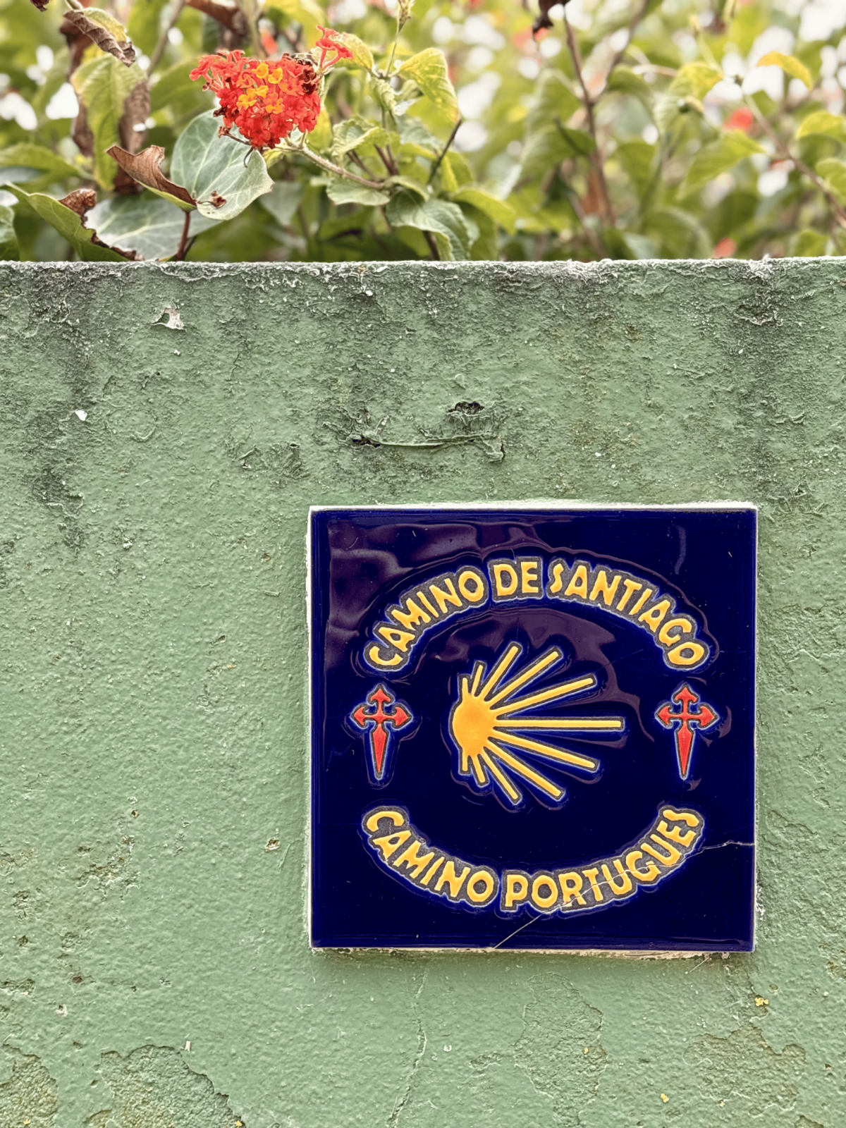 Granite Camino de Santiago scallop-shell waymarker beside a leafy forest trail.