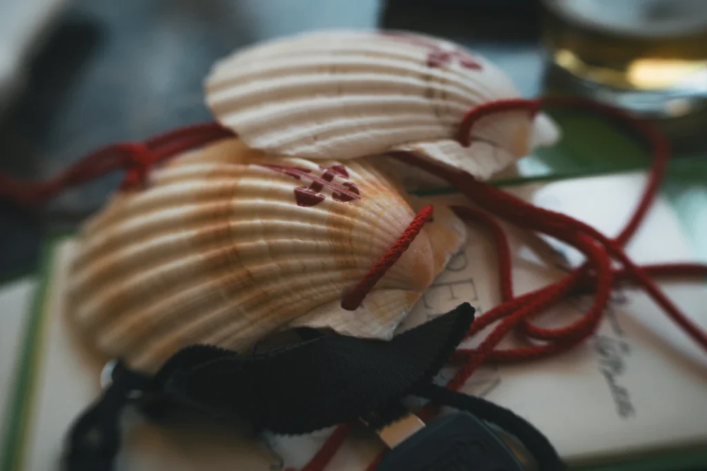 Scallop shells with red cords, traditional Camino de Santiago pilgrimage symbol