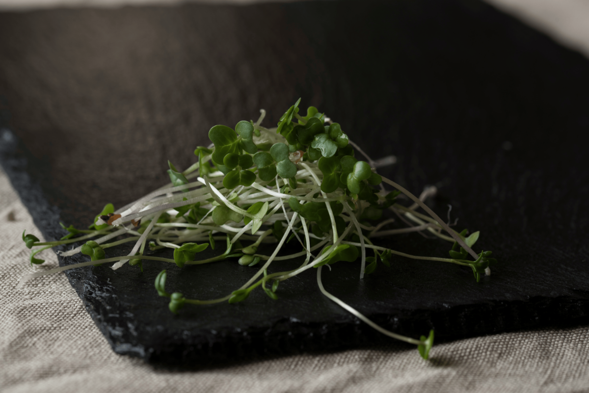 Pile of fresh broccoli microgreens resting on a black slate serving board.