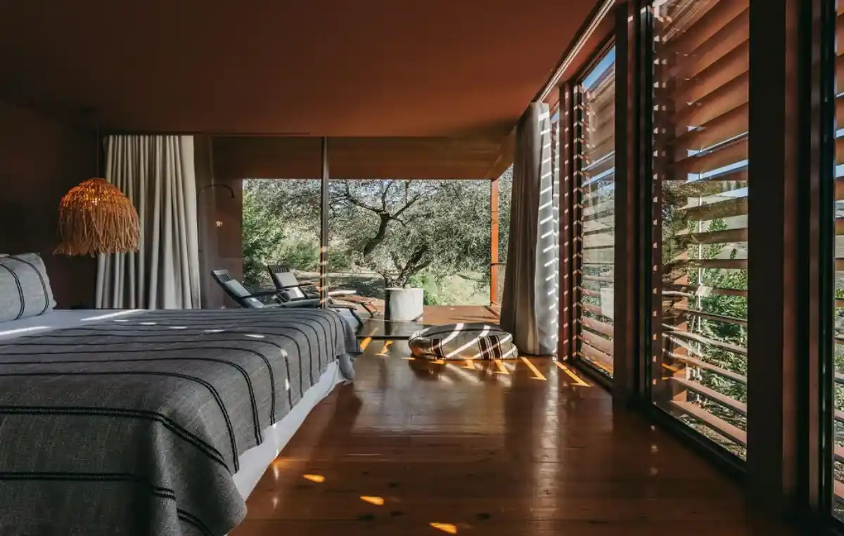 Romantic Ventozelo suite opening to sun-dappled olive trees.
