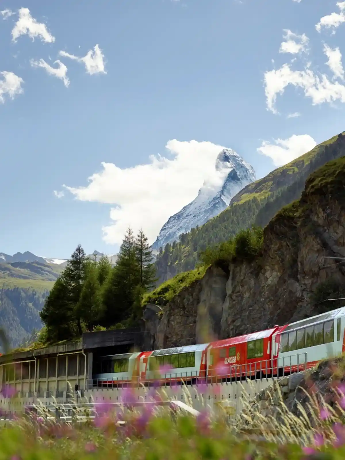 Glacier Express passing green slopes below the Matterhorn on a sunny summer day, framed by wildflowers and pines.