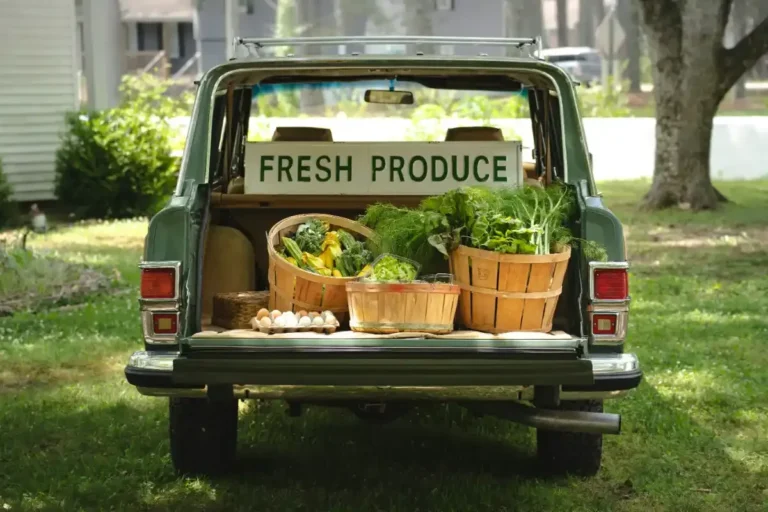Food Sovereignty: Reclaiming Local Power Over Our Plates