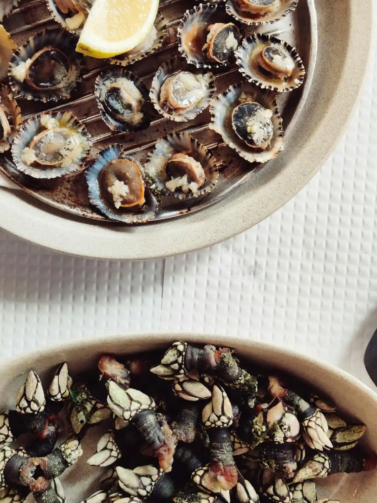 Grilled limpets with garlic and lemon wedge beside bowl of gooseneck barnacles, classic Algarve coastal seafood platter.