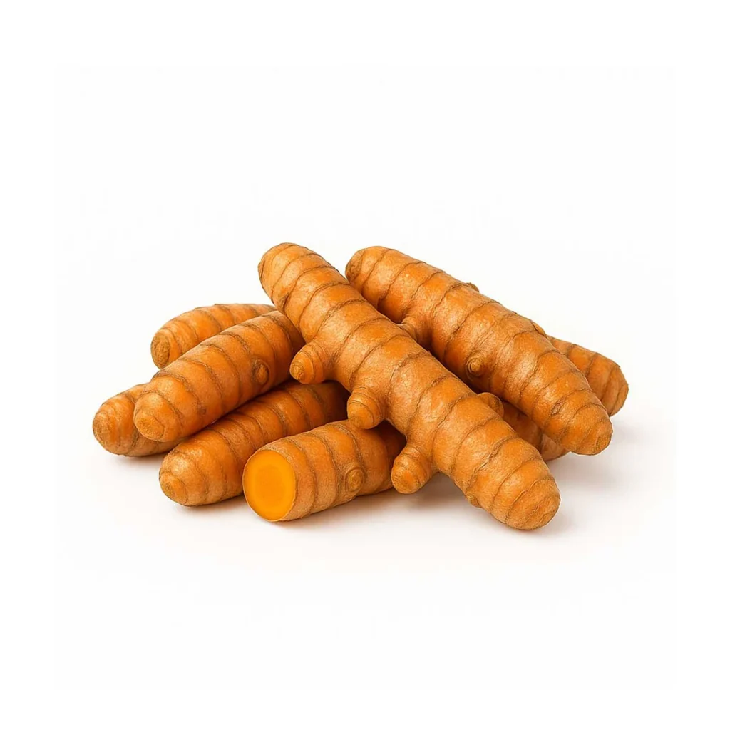 Fresh turmeric root with vibrant orange interior isolated on white background