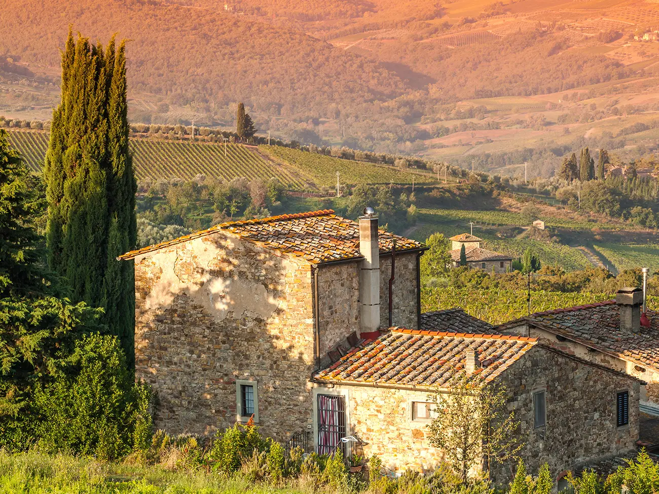 A stone farmhouse beside a cypress overlooks Chianti Classico vineyards and olive groves in late golden light.