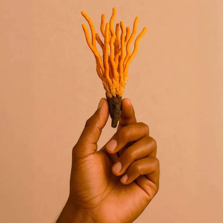 A hand holds a cluster of bright orange cordyceps militaris mushrooms against a soft peach backdrop.
