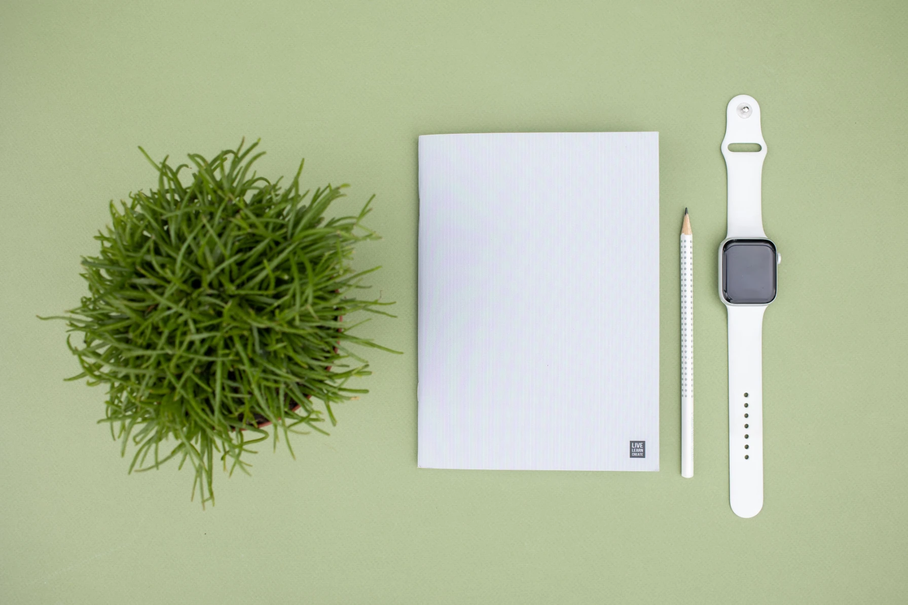 Flat lay of a green potted plant, notebook, pencil, and smartwatch on a sage background.