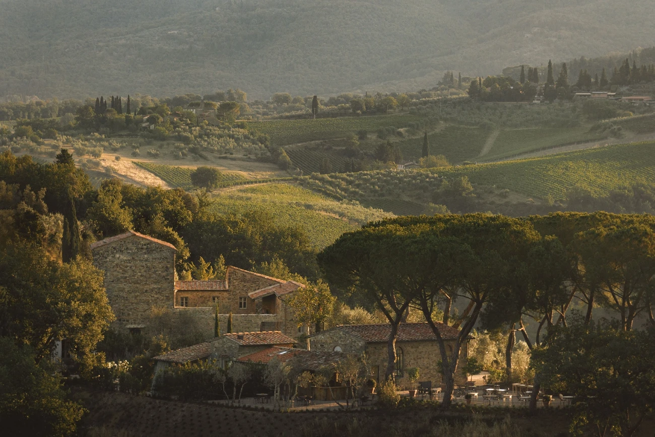 The stone hamlet of Ladarbia in Chianti, sheltered by umbrella pines above terraced vineyards in golden light.