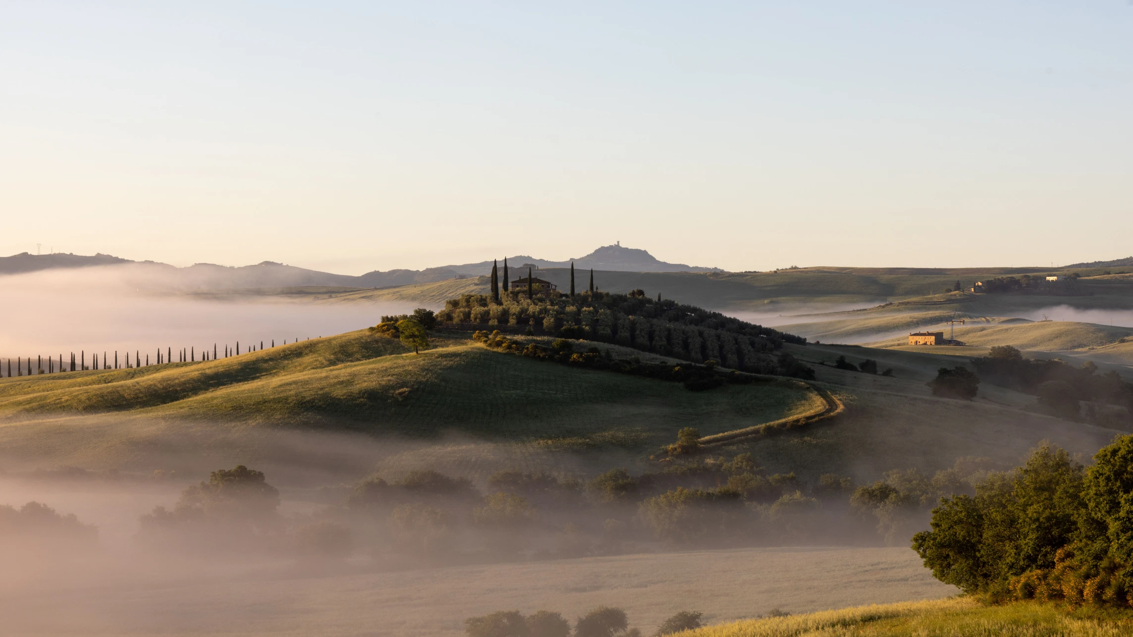 Morning mist settles in the valleys of Val d'Orcia around a cypress-crowned farmhouse and a line of cypresses.