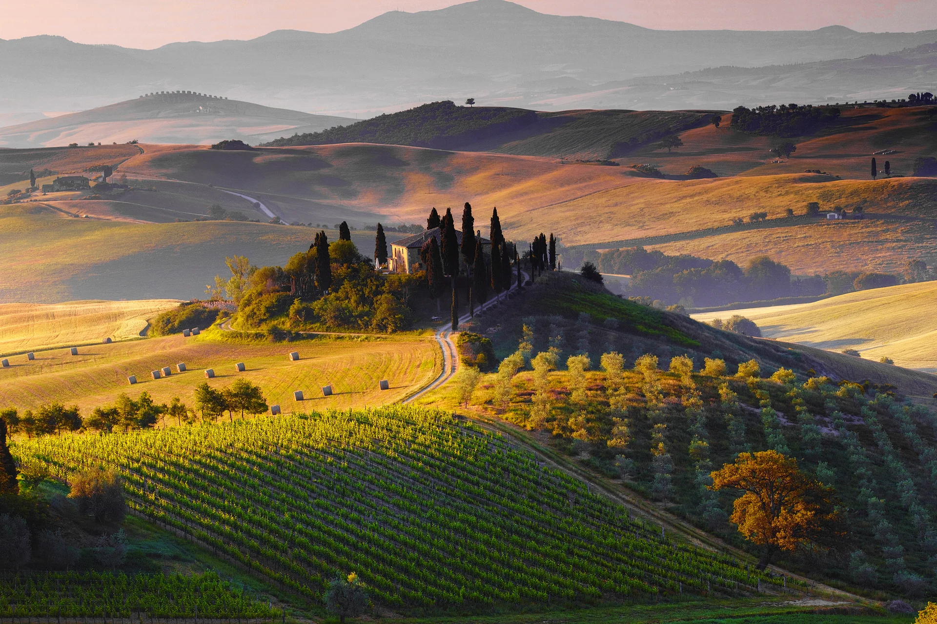 A cypress-ringed farmhouse above vineyards, olive groves, and hay bales across the rolling hills of Val d'Orcia.